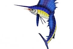 Sailfish-Left-Large