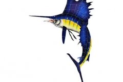 Sailfish-left-small