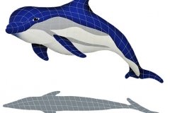 Bottlenose-Dolphin-Up-Shado