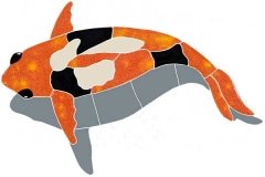 Koi-fish-shadow-left-orange