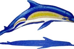 Dolphin-A