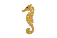 Seahorse-tan