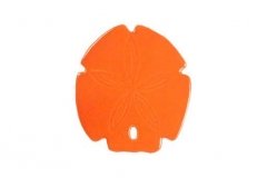 Sand-Dollar-5in-orange