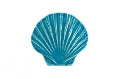 Seashell-5in-aqua