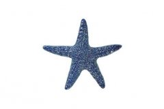 Starfish-5in-blue