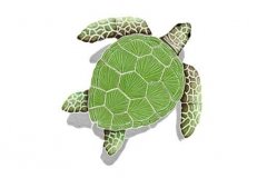 Loggerhead-small-green-with