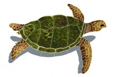 Sea-Turtle-Natural-small-sh