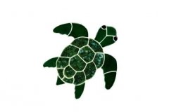 Turtle-Topview-small-green